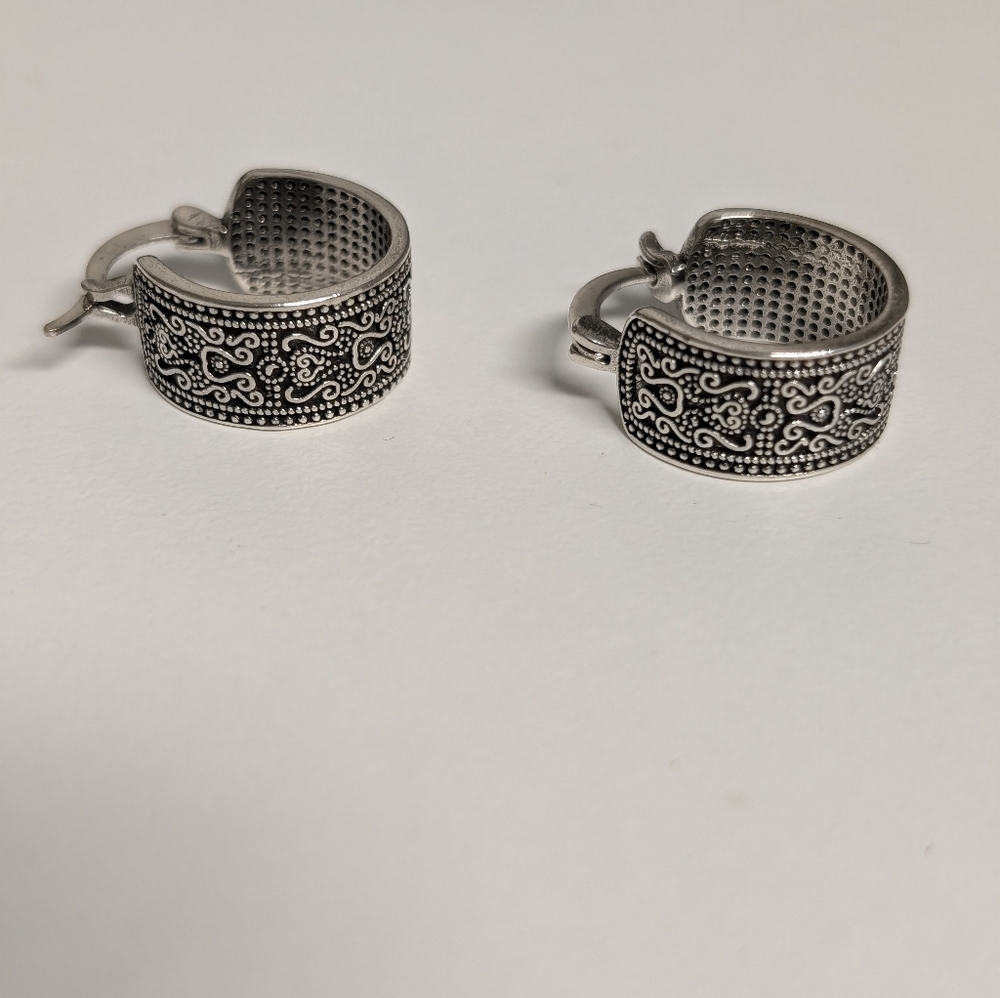 Elegant Hoop Earrings